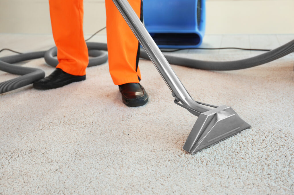Carpet Drying Times